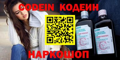 крисы Можга