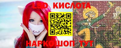 крисы Можга