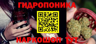 крисы Можга