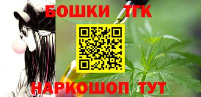 крисы Можга