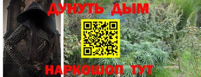 крисы Можга