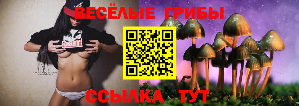 Псилоцибиновые грибы GOLDEN TEACHER Холмск